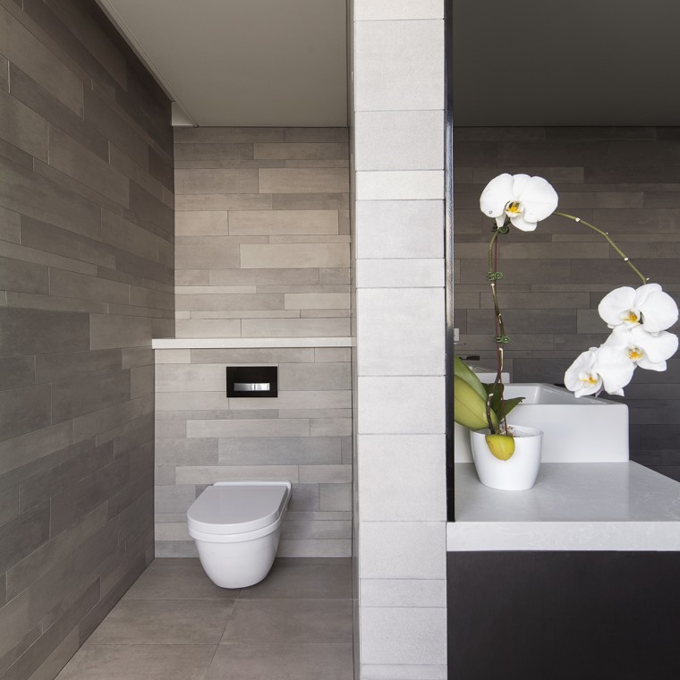 Sigma50 Flush Button (© Adam Powell)